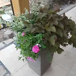 Liduska S Kavarnou
