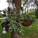 Liduska S Kavarnou 3* Bechyně