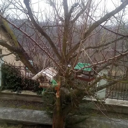 Villa Liduska S Kavarnou بيكيني