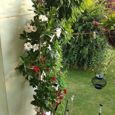 Affittacamere Liduska S Kavarnou