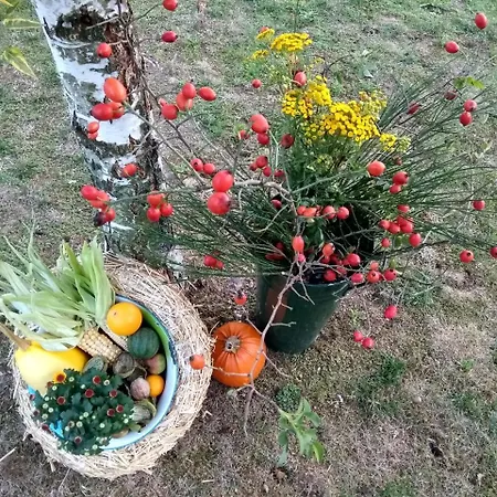 Liduška S Restaurací