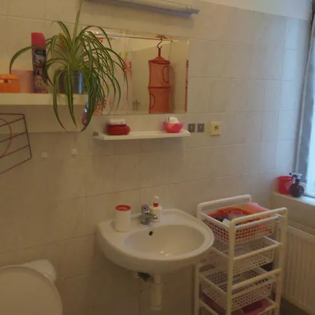 Penzion Liduska S Kavarnou 3*