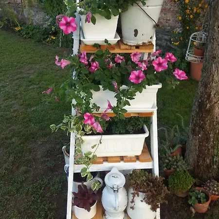 Liduska S Kavarnou Affittacamere