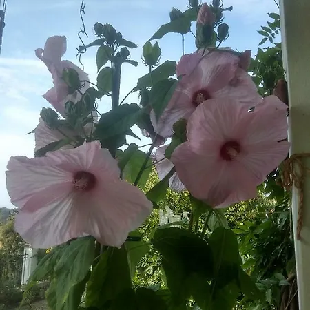 Liduska S Kavarnou Affittacamere Bechyně