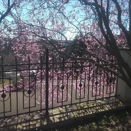 Liduska S Kavarnou