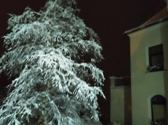 Liduska S Kavarnou 3*