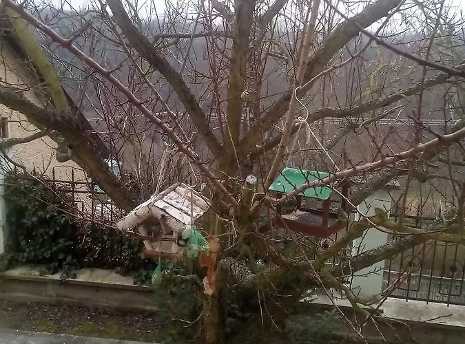 Liduska S Kavarnou Бехине