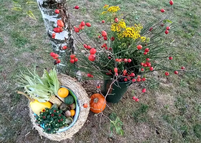 Liduska S Kavarnou
