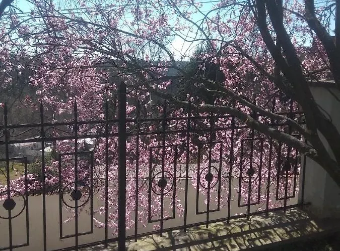 Liduska S Kavarnou